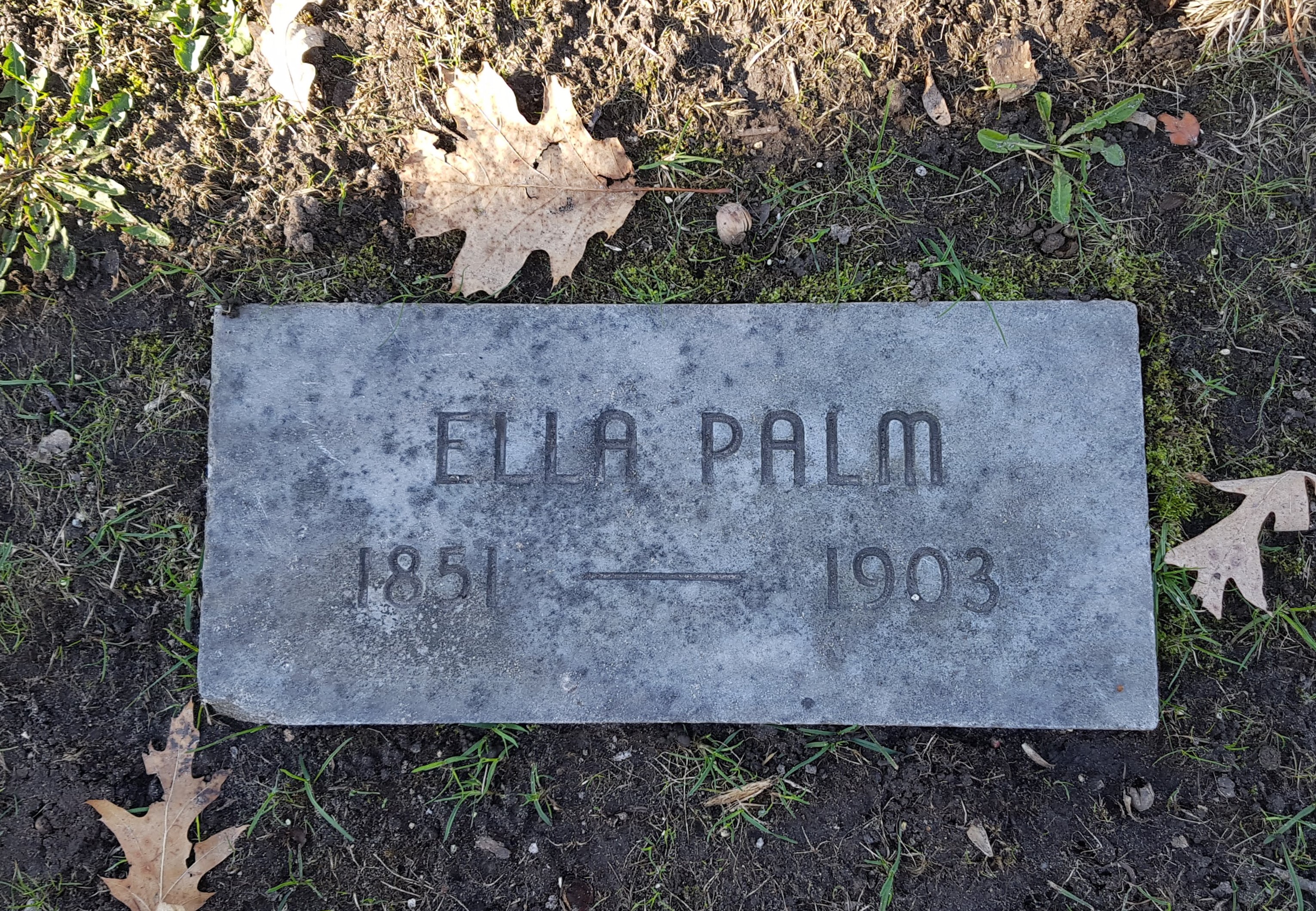 ella_palm_manistee.jpg