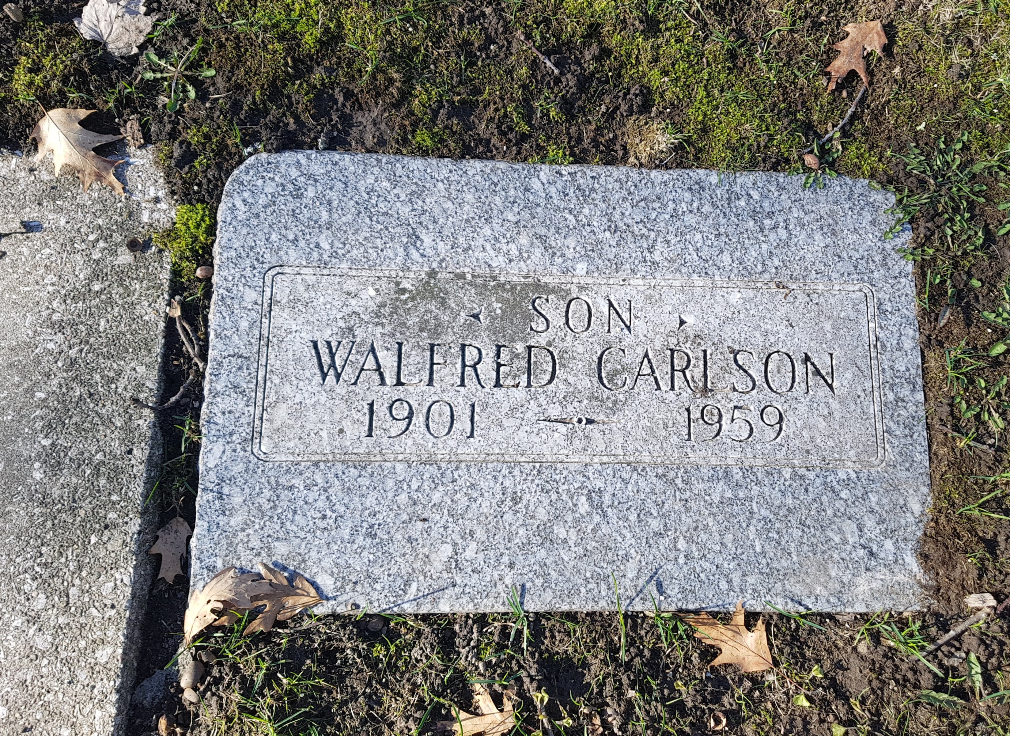 walfred_carlsson.jpg