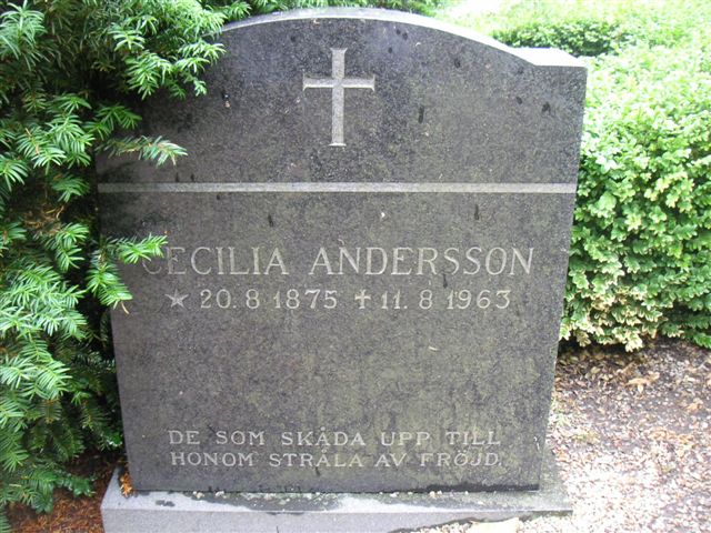 cecilia_andersson.jpg