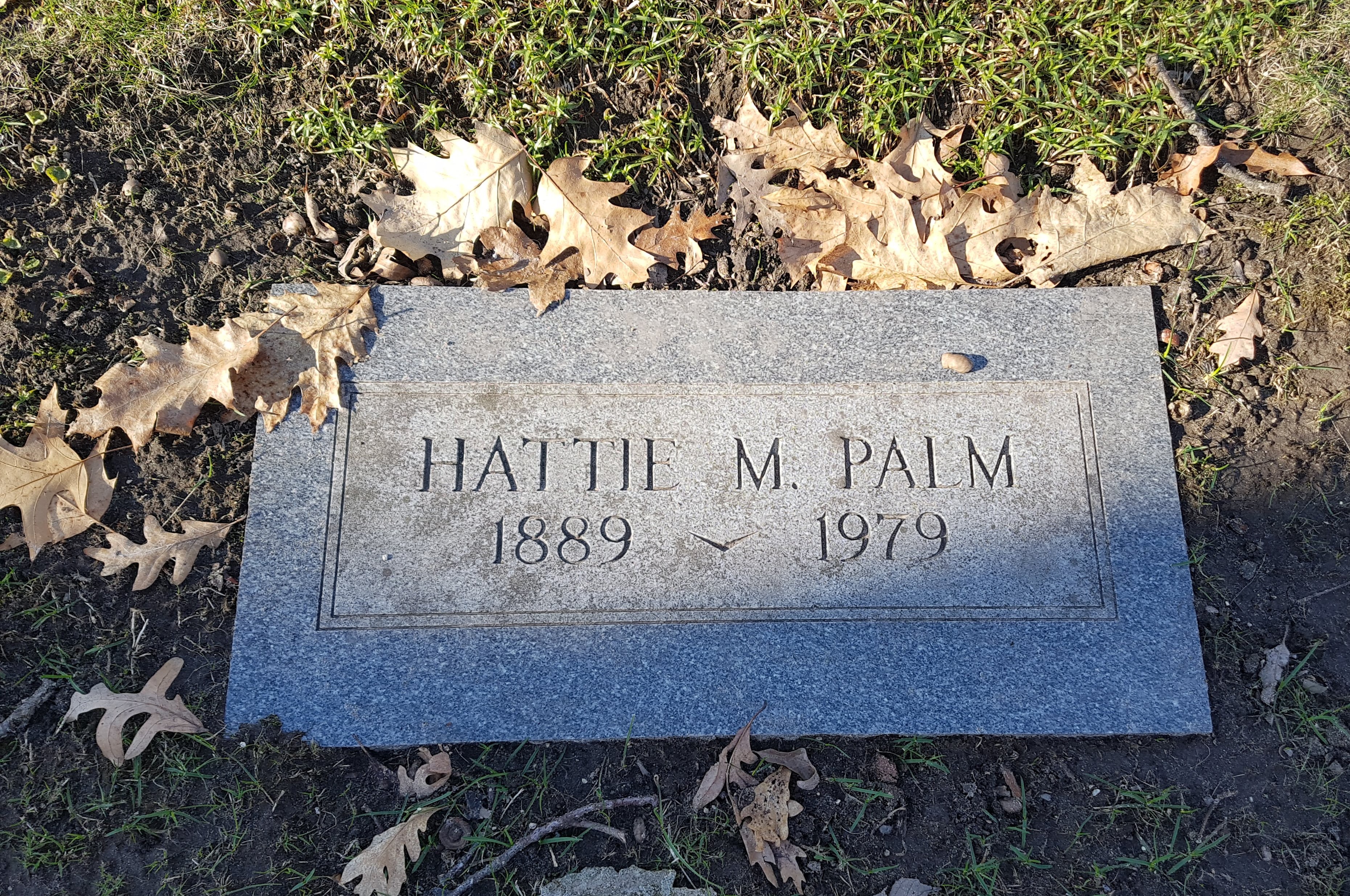 hattie_palm_manistee.jpg